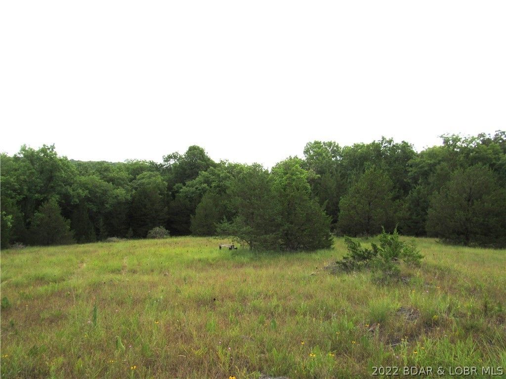County, MO Undeveloped Land for sale Property ID