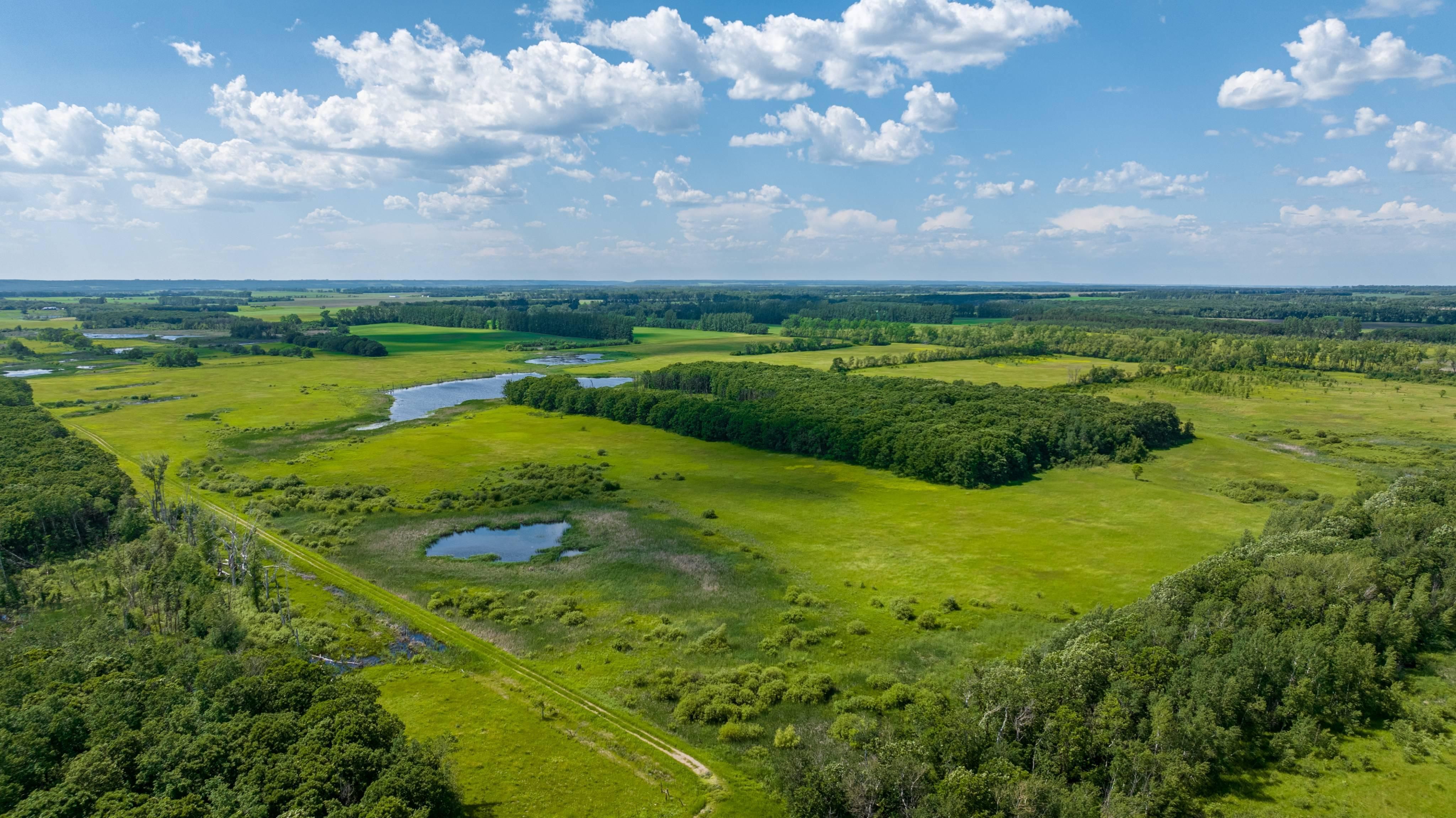Walhalla, Pembina County, ND Recreational Property, Timberland Property