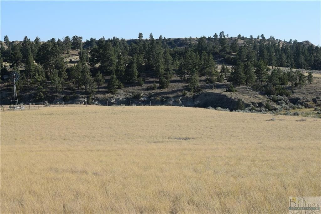 Roundup, Musselshell County, MT Undeveloped Land for sale Property ID