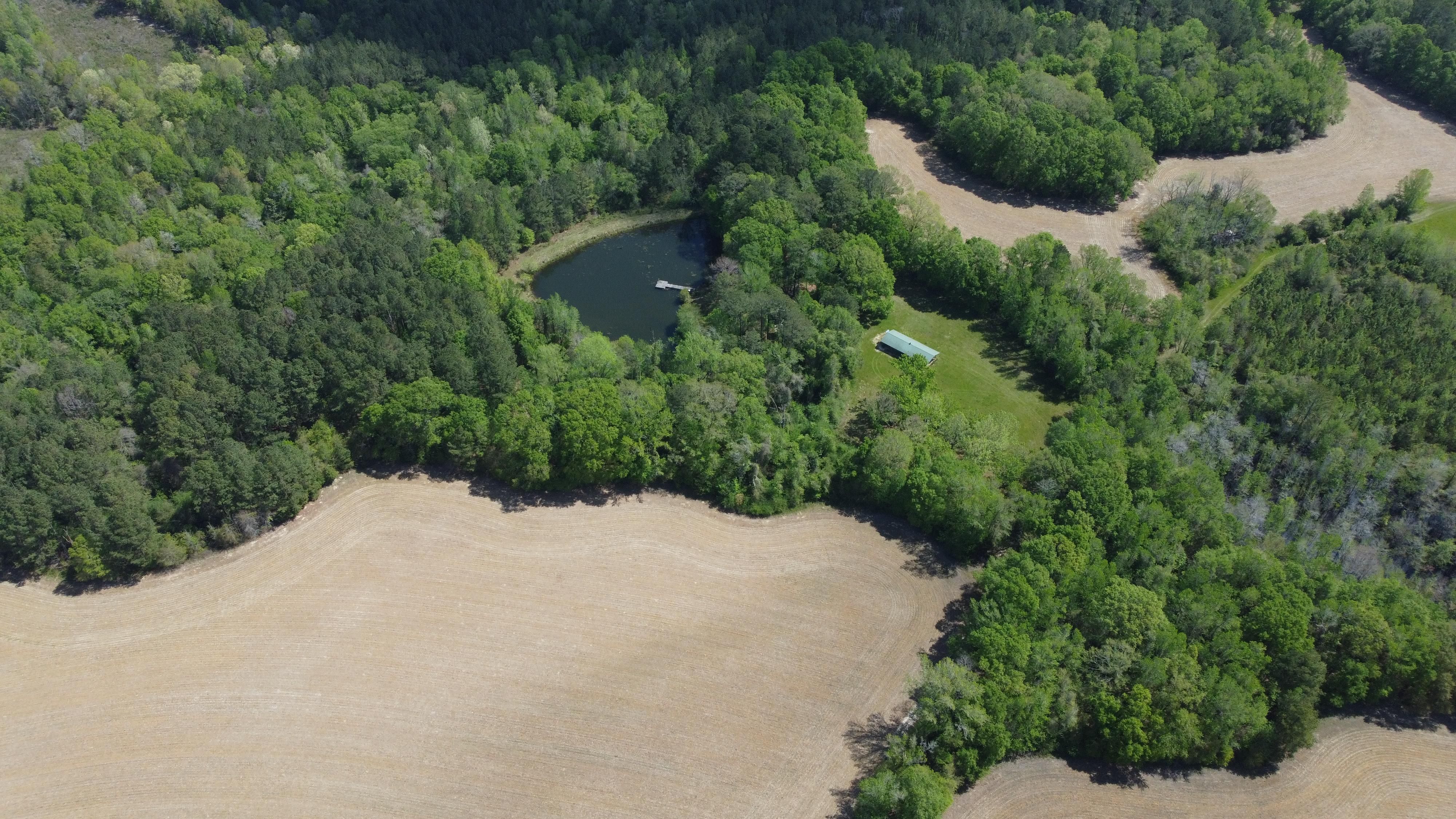 670 acres in Luverne, AL, 36049 LandWatch