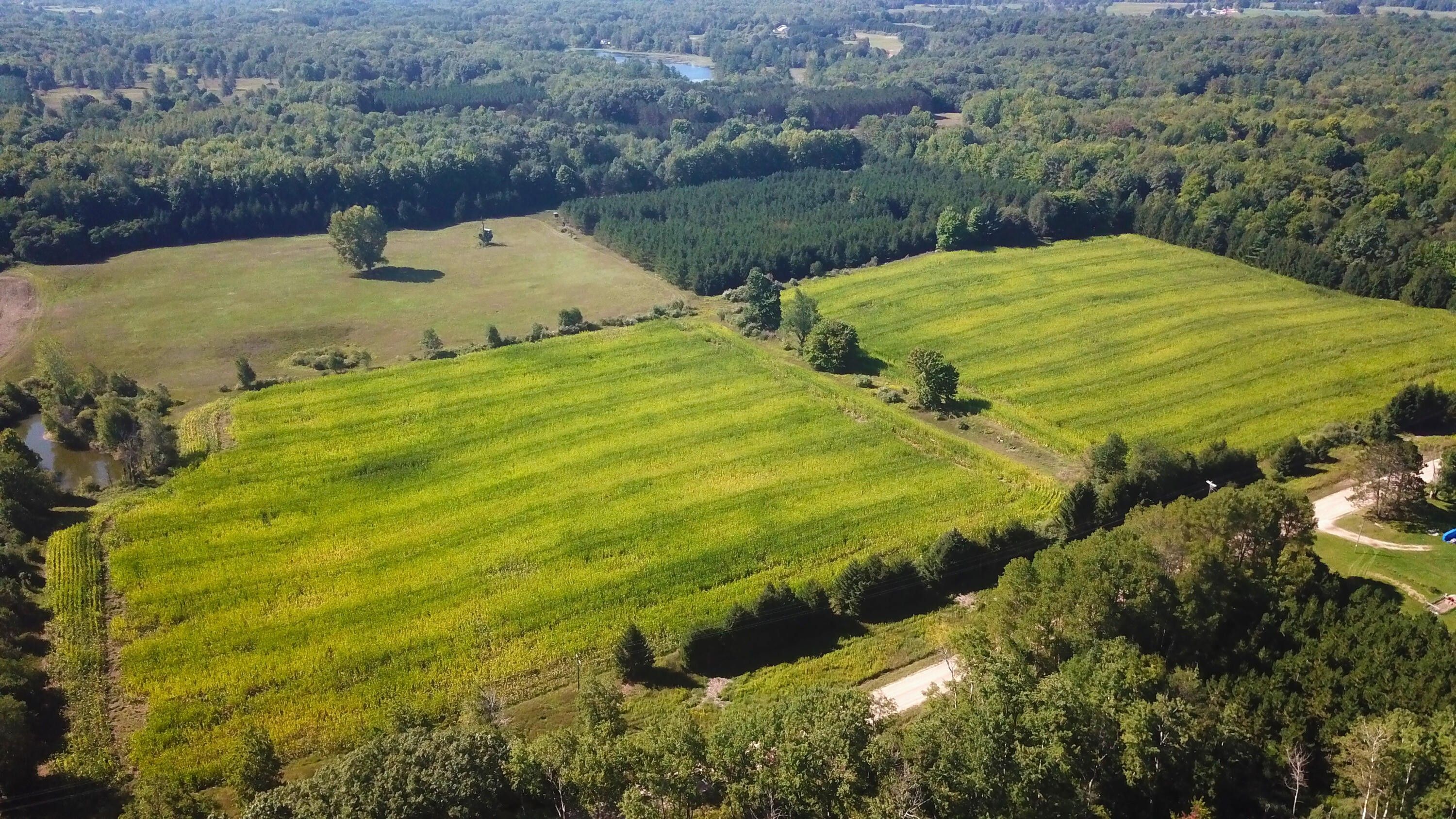 Evart, Mecosta County, MI Undeveloped Land for sale Property ID