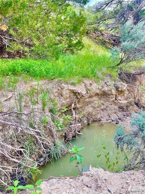 Bridger, Carbon County, MT Farms and Ranches for sale Property ID