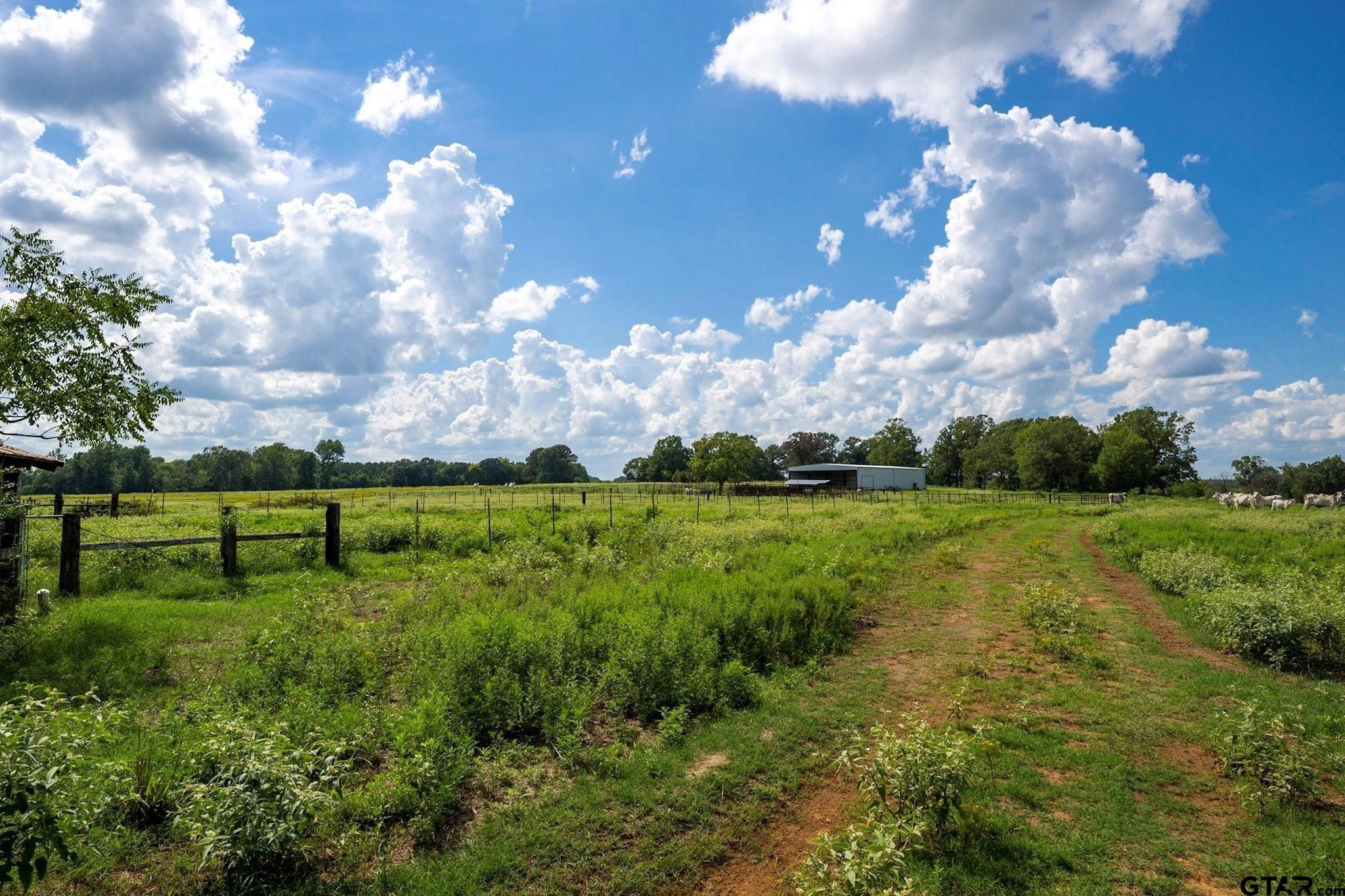 Henderson, Rusk County, TX Undeveloped Land for sale Property ID