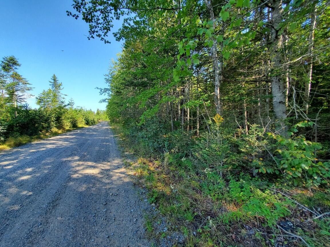 Columbia, Washington County, ME Undeveloped Land for sale Property ID