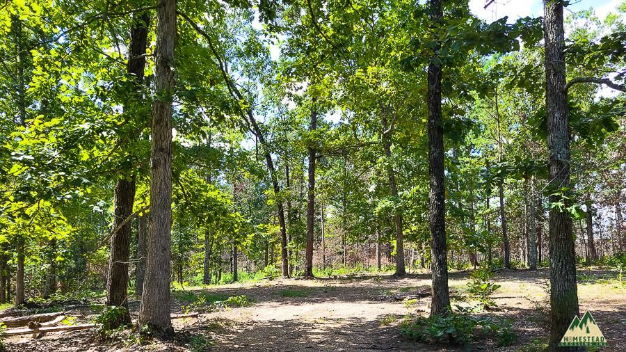 Summersville, Shannon County, MO Recreational Property, Undeveloped