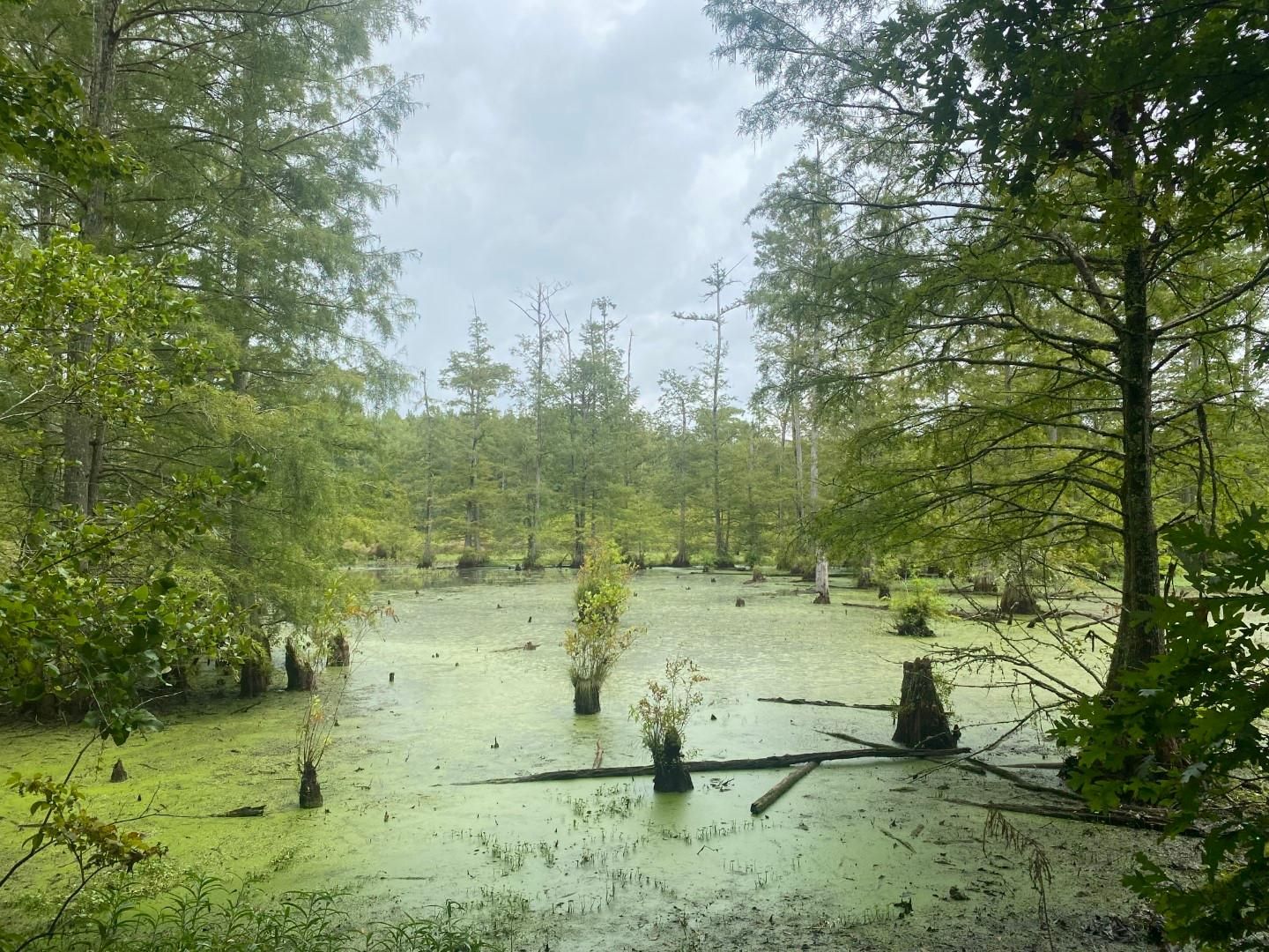 County Road 444, Oxford, MS 38655 LandWatch