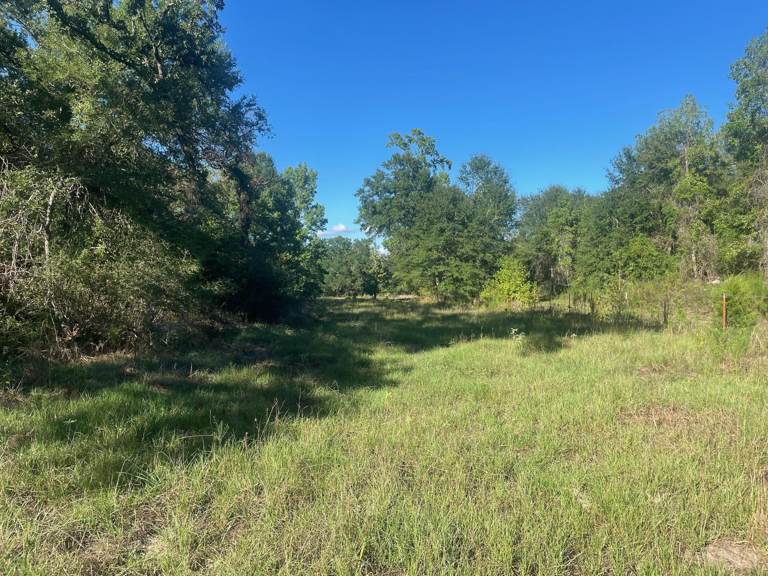 150 AC Bozeman Ferry Road, Midway, TX 75852 LandWatch