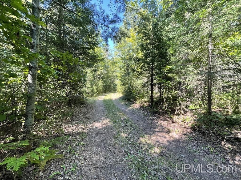 L'Anse, Baraga County, MI Undeveloped Land for sale Property ID
