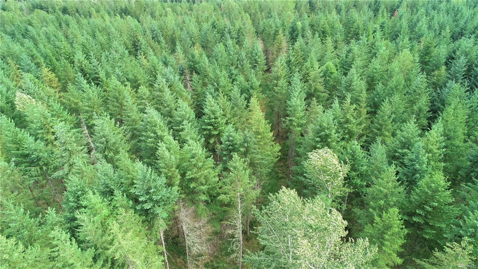 Eatonville, Pierce County, WA Timberland Property, Undeveloped Land for