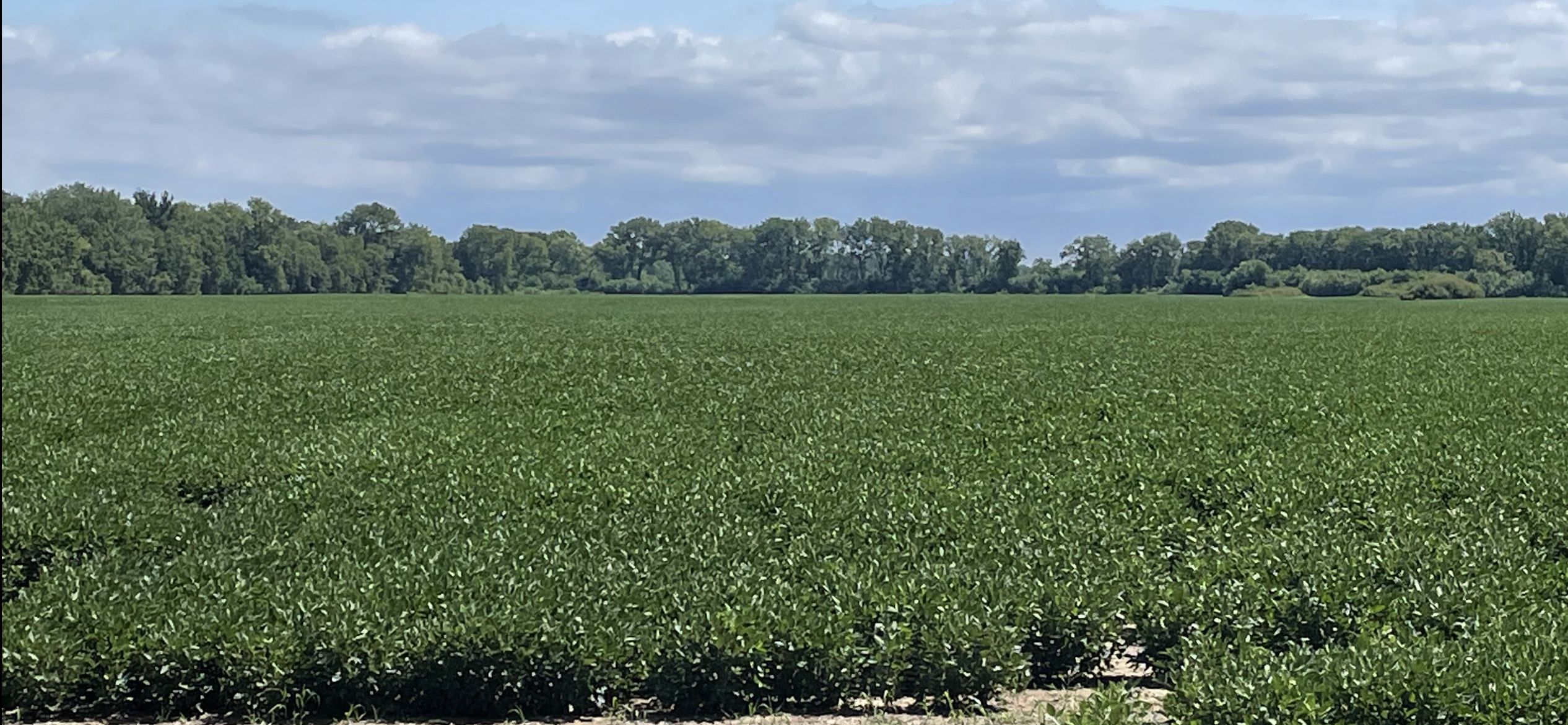 Ball Ford Trail, Darlington, MO 64438 MLS 534A LandWatch