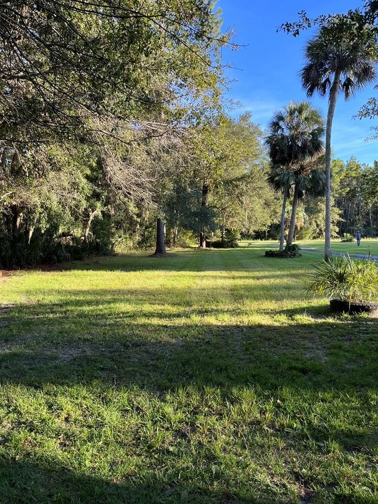 Steinhatchee, Dixie County, FL Recreational Property, Hunting Property
