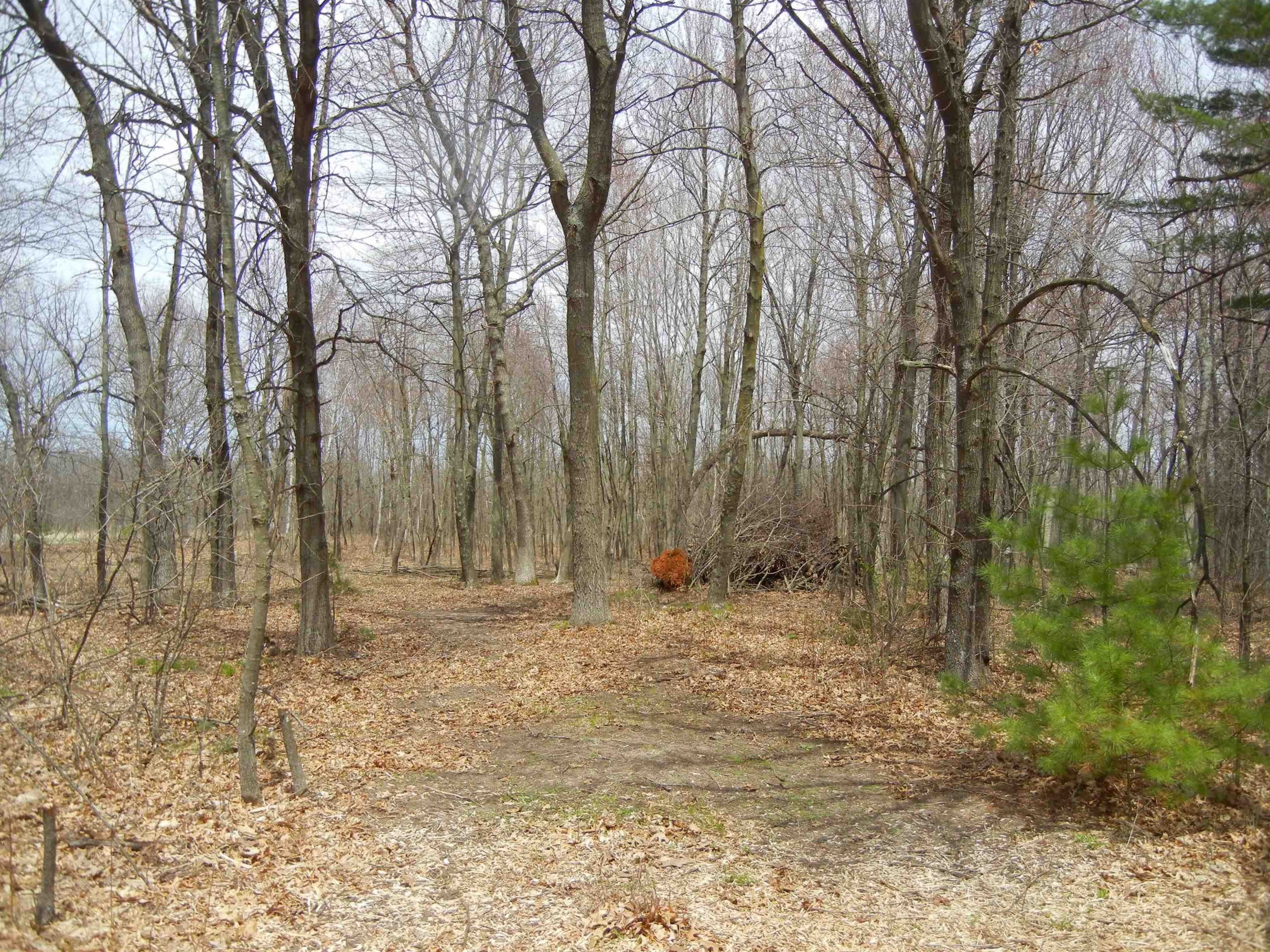 Redgranite, Waushara County, WI Undeveloped Land for sale Property ID