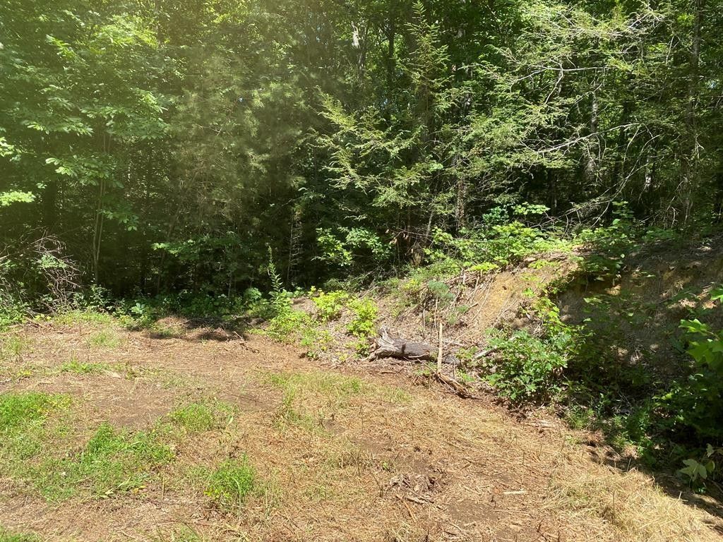 Sevierville, Sevier County, TN Undeveloped Land for sale Property ID