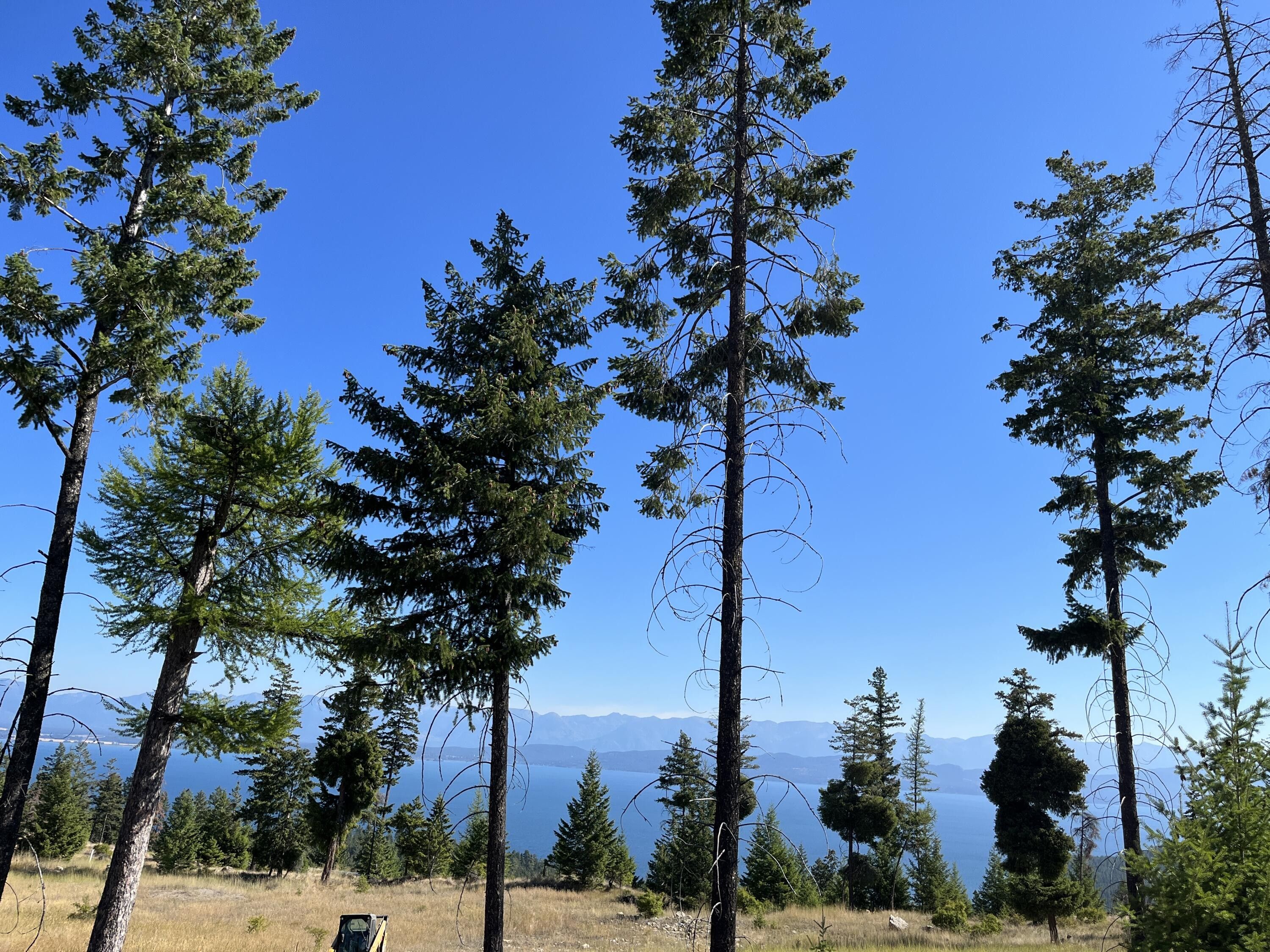 Lakeside, Flathead County, MT Farms and Ranches, Homesites for sale