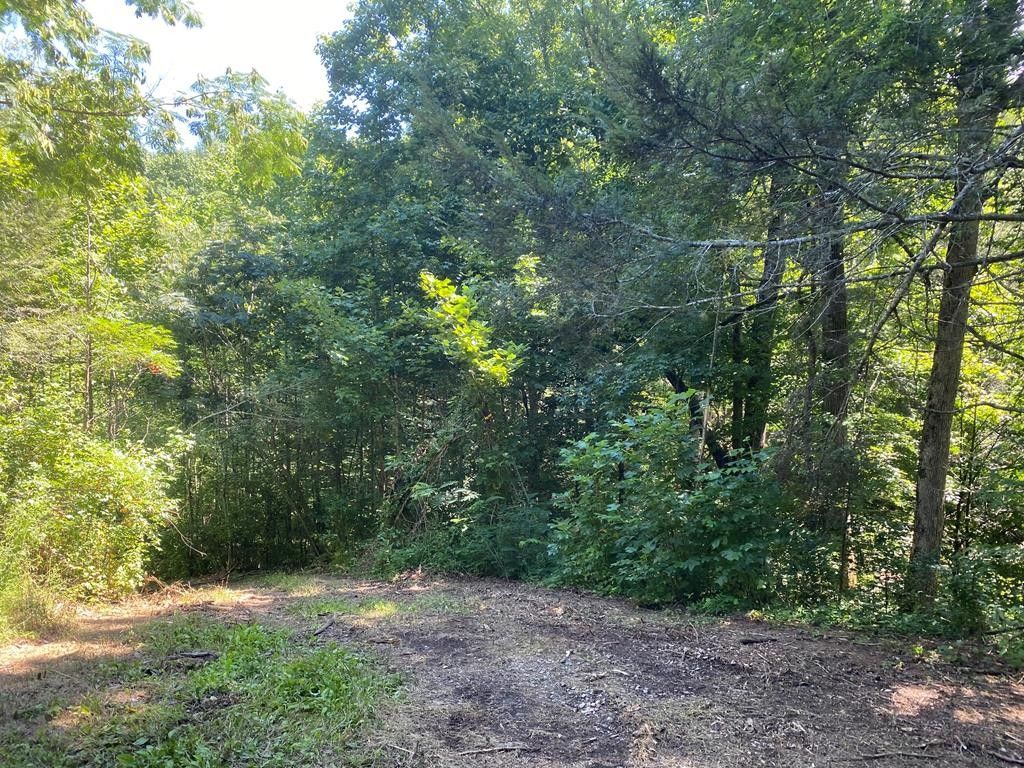 Sevierville, Sevier County, TN Farms and Ranches for sale Property ID