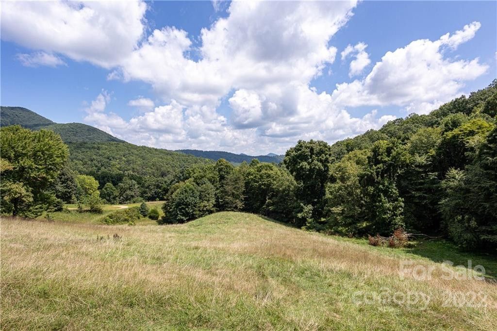 Candler, County, NC Undeveloped Land for sale Property ID