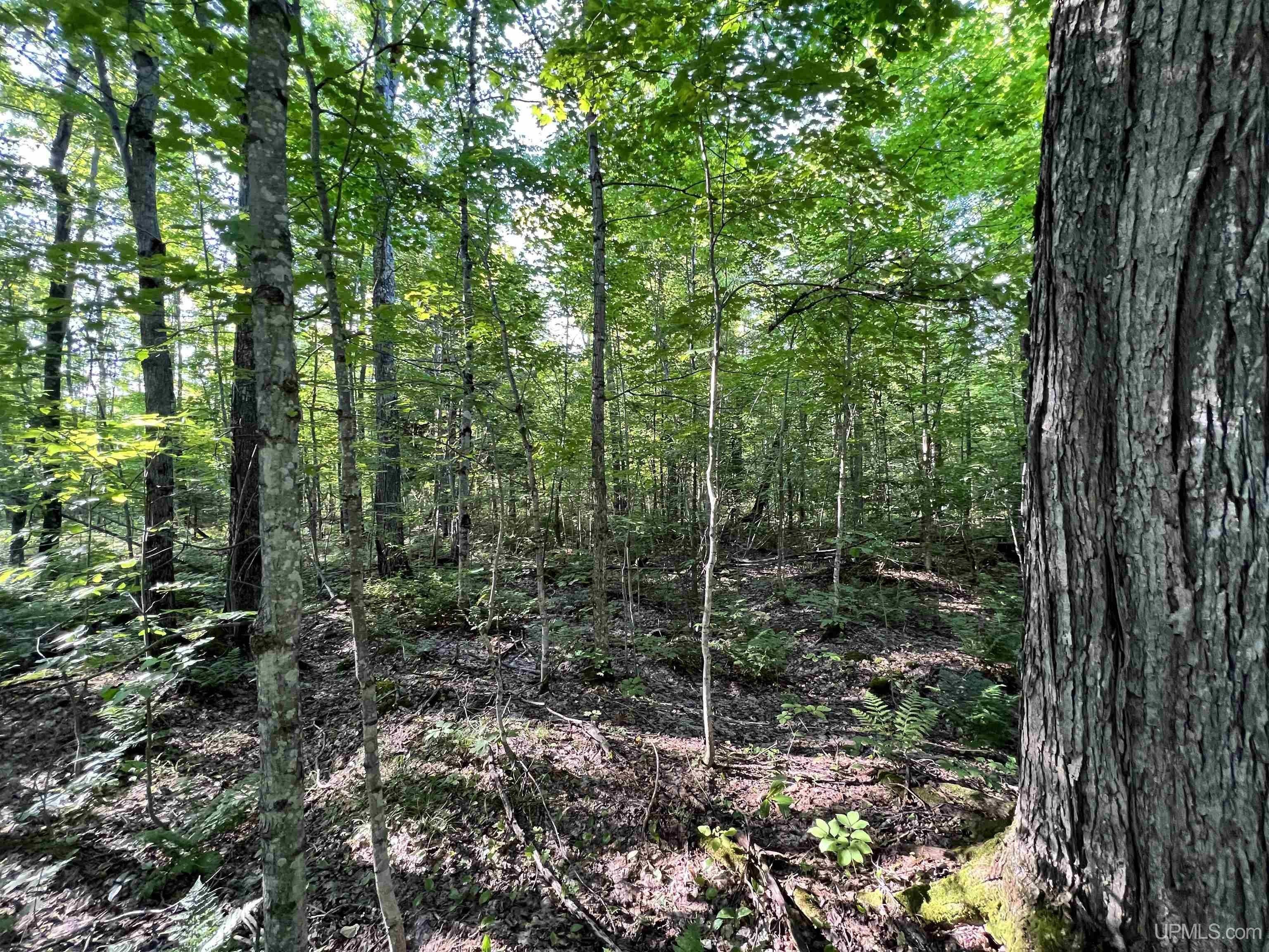 Nisula, Houghton County, MI Undeveloped Land for sale Property ID