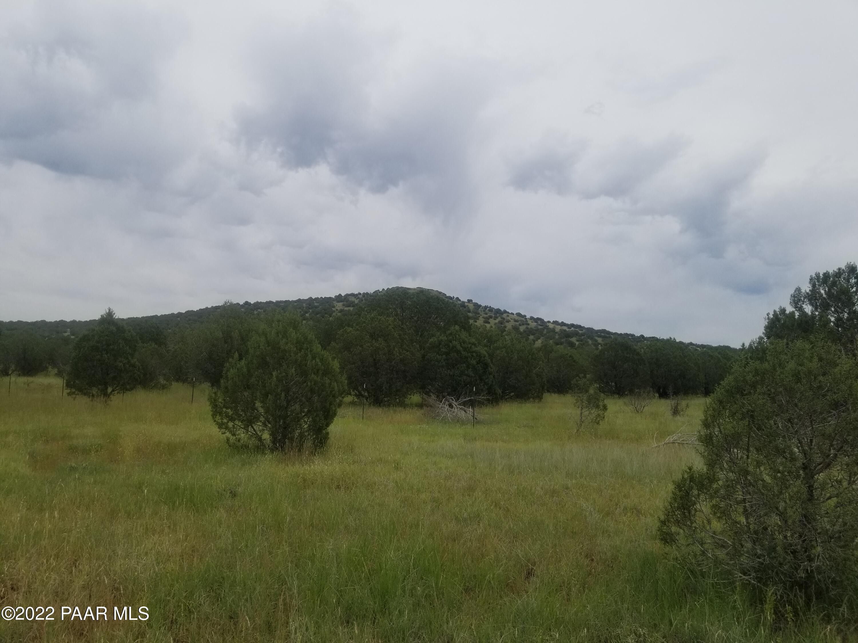 Ash Fork, Coconino County, AZ Undeveloped Land for sale Property ID