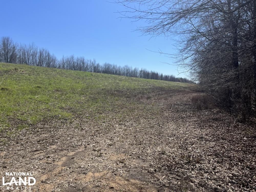 Satartia, Yazoo County, MS Recreational Property, Timberland Property