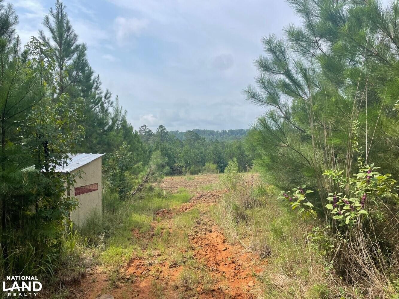 Northport, Tuscaloosa County, AL Recreational Property, Hunting