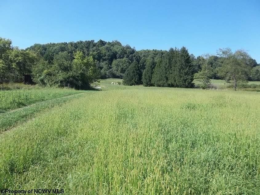 Jane Lew, Lewis County, WV Farms and Ranches, Lakefront Property