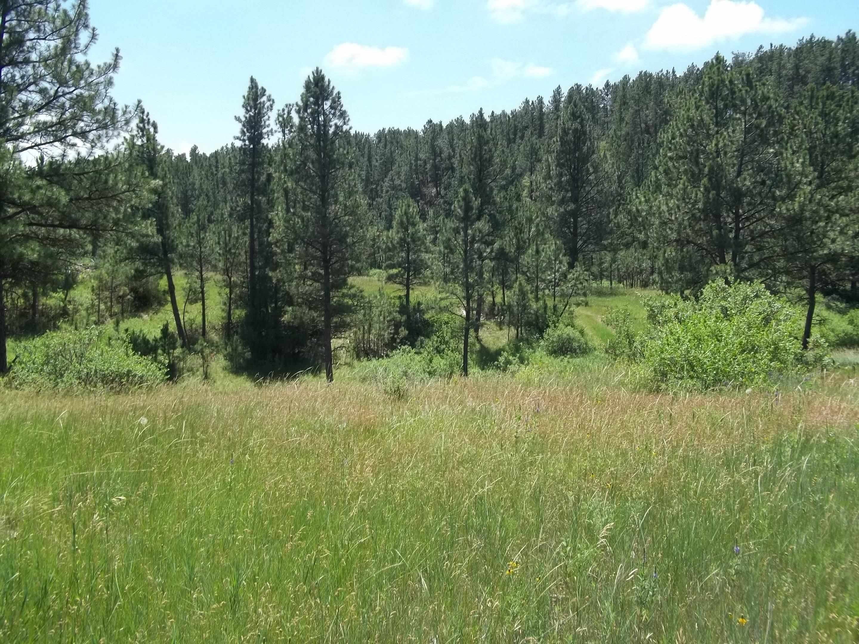 Hot Springs, Fall River County, SD Farms and Ranches for sale Property