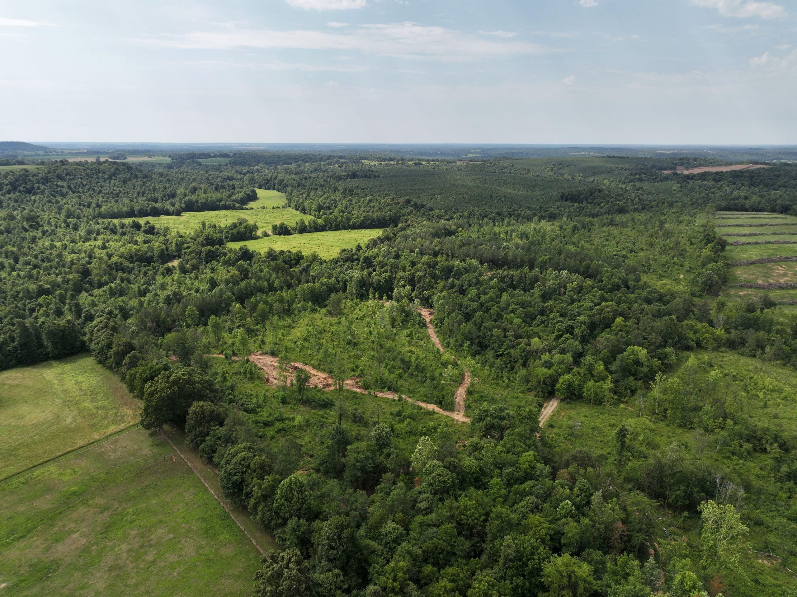 Marion, Crittenden County, KY Recreational Property, Timberland