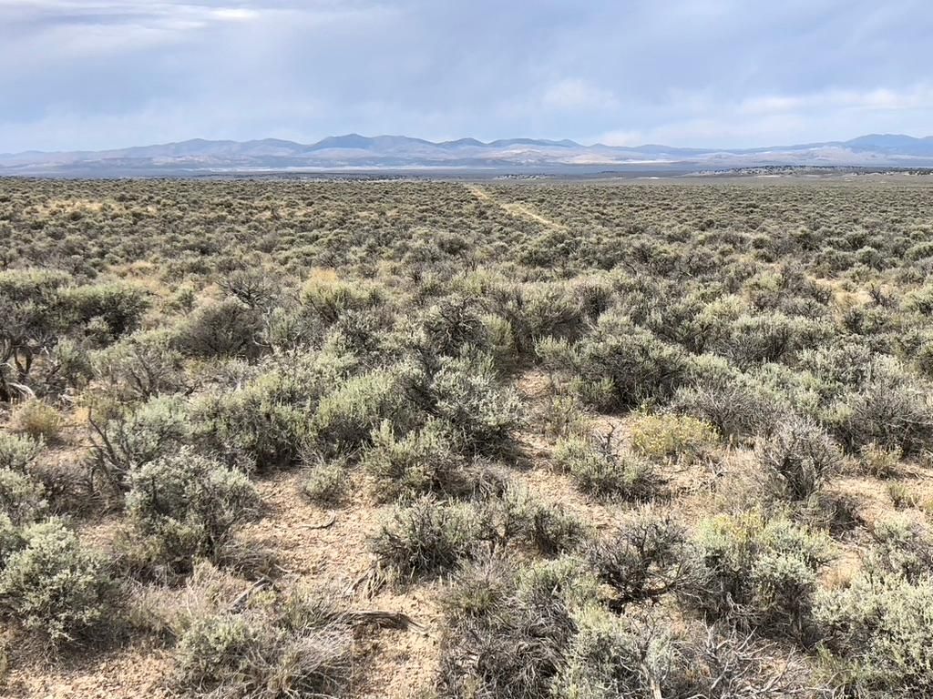 Wells, Elko County, NV Recreational Property, Undeveloped Land, Hunting