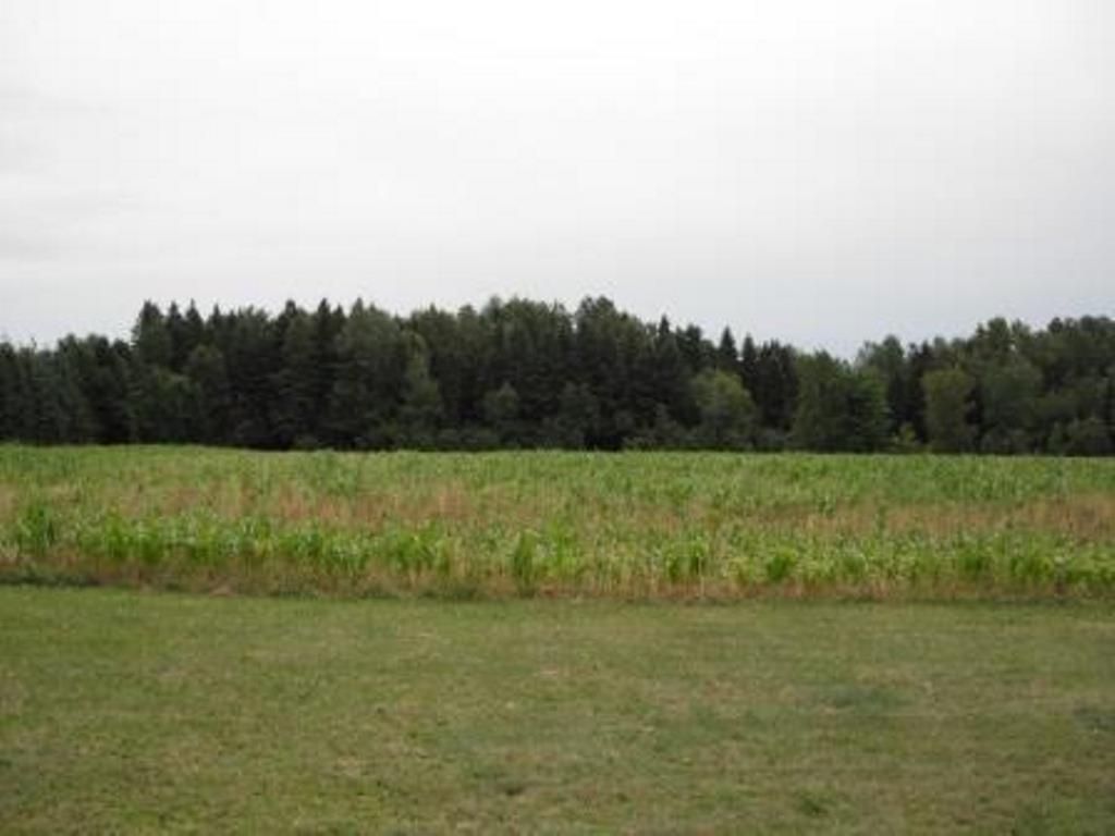 Birnamwood, Shawano County, WI Hunting Property, House for sale