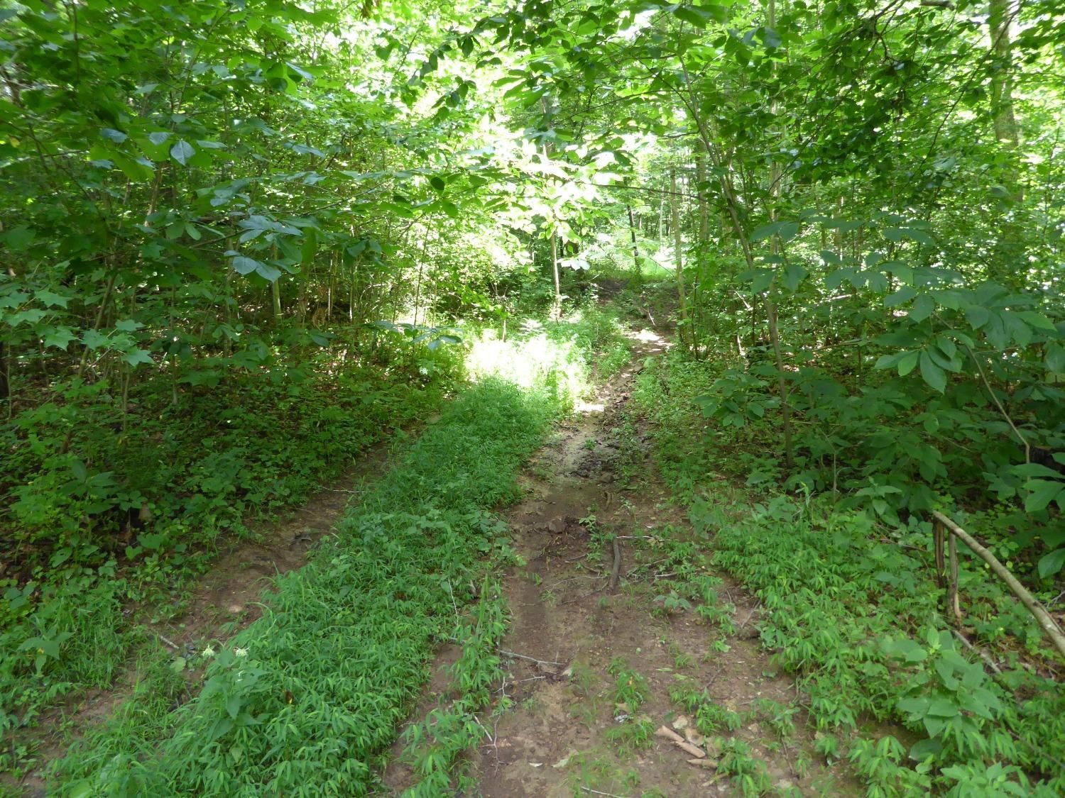 Blue Creek, Adams County, OH Recreational Property, Hunting Property