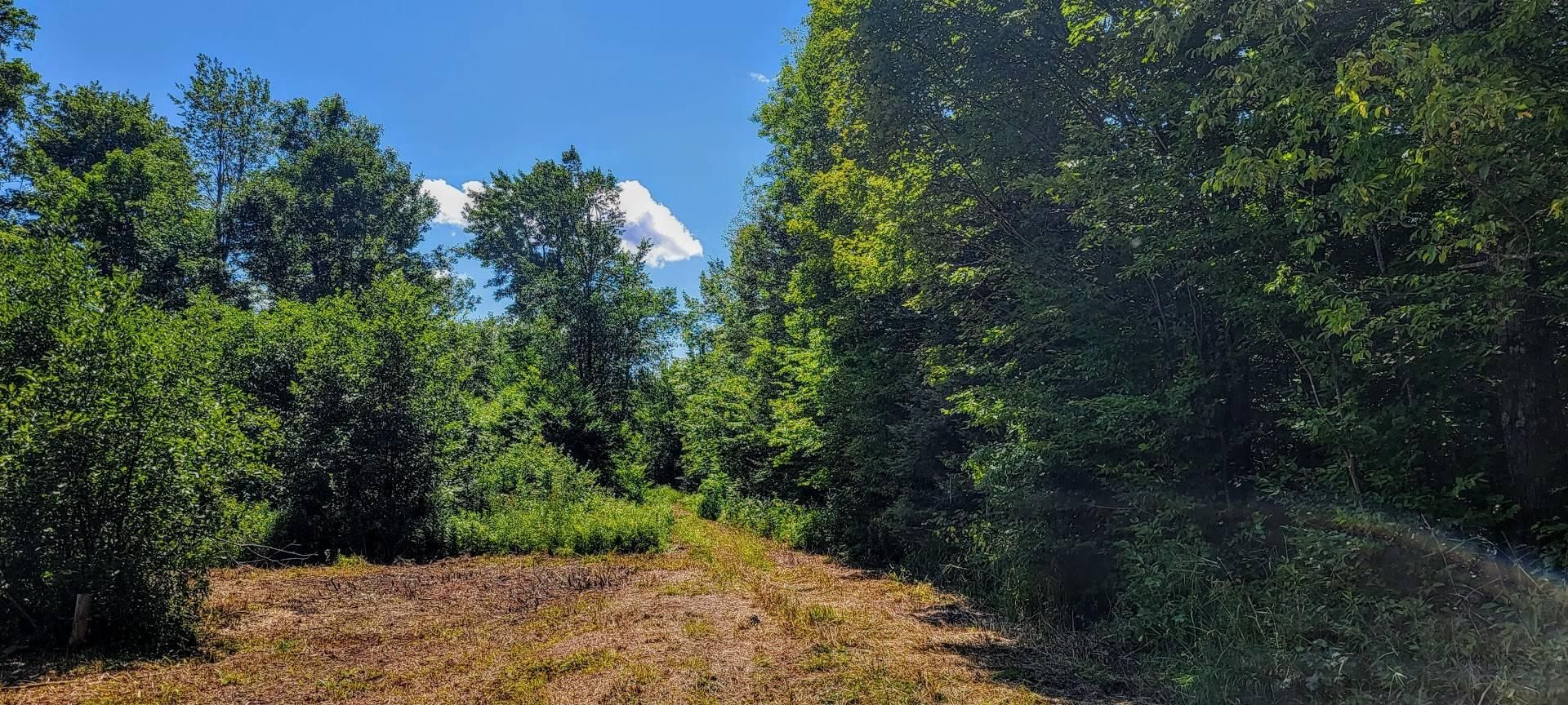 Gleason, Lincoln County, WI Recreational Property, Timberland Property
