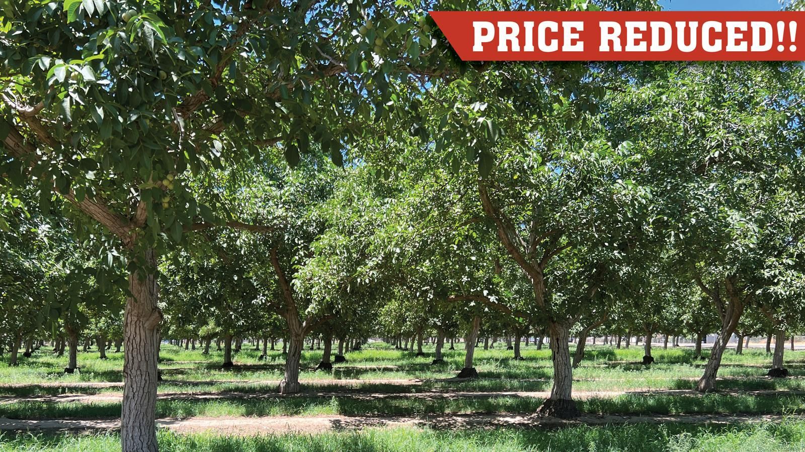 Farmersville, Tulare County, CA Farms and Ranches, Undeveloped Land for