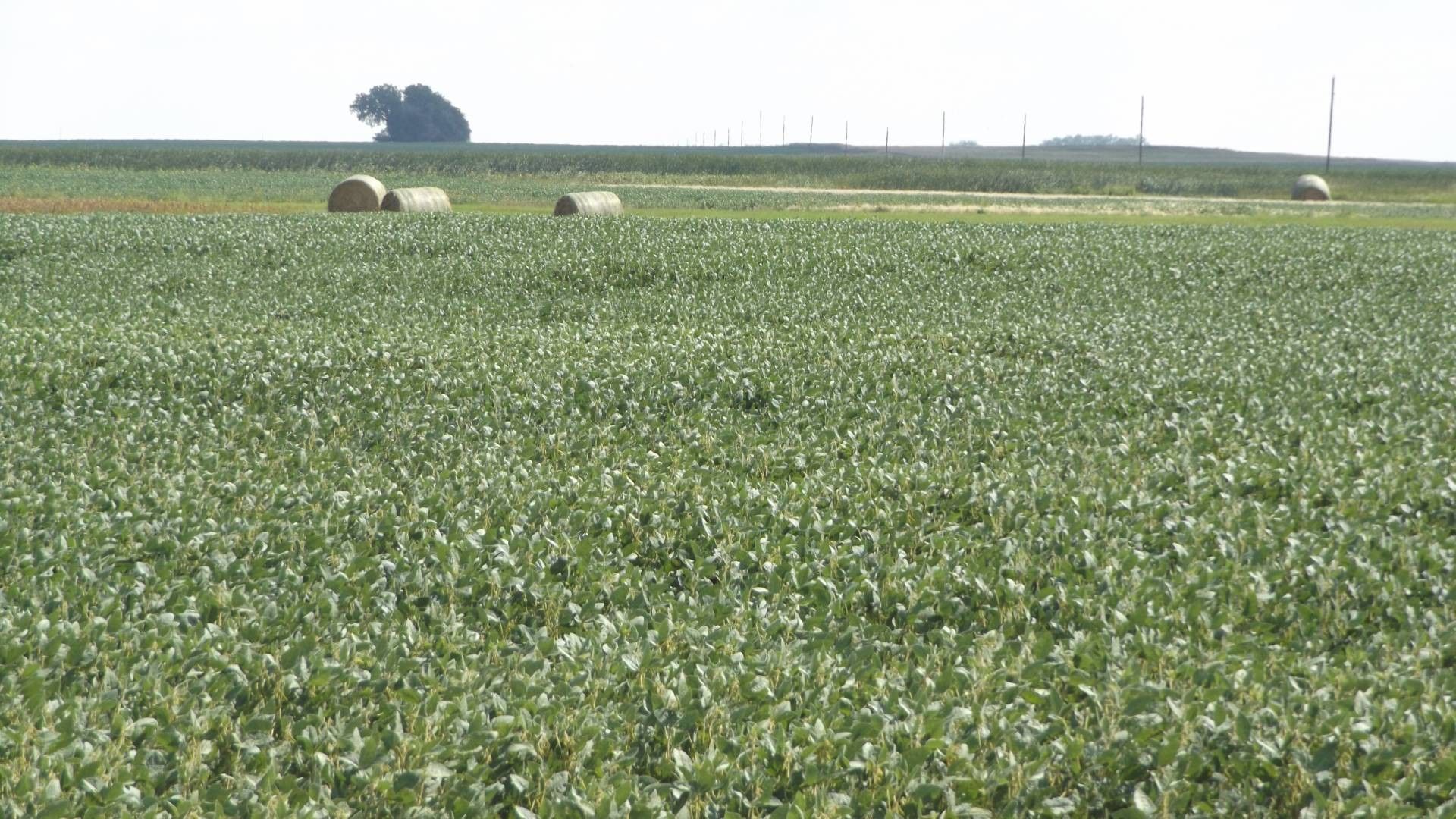 Barton, Bottineau County, ND Undeveloped Land for sale Property ID 414799098 LandWatch