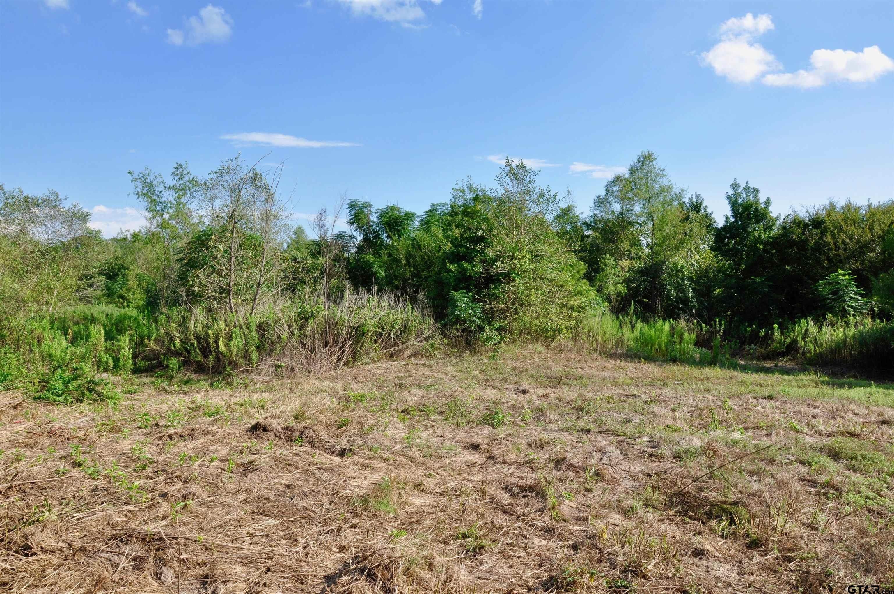 Hughes Springs, Cass County, TX Undeveloped Land for sale Property ID