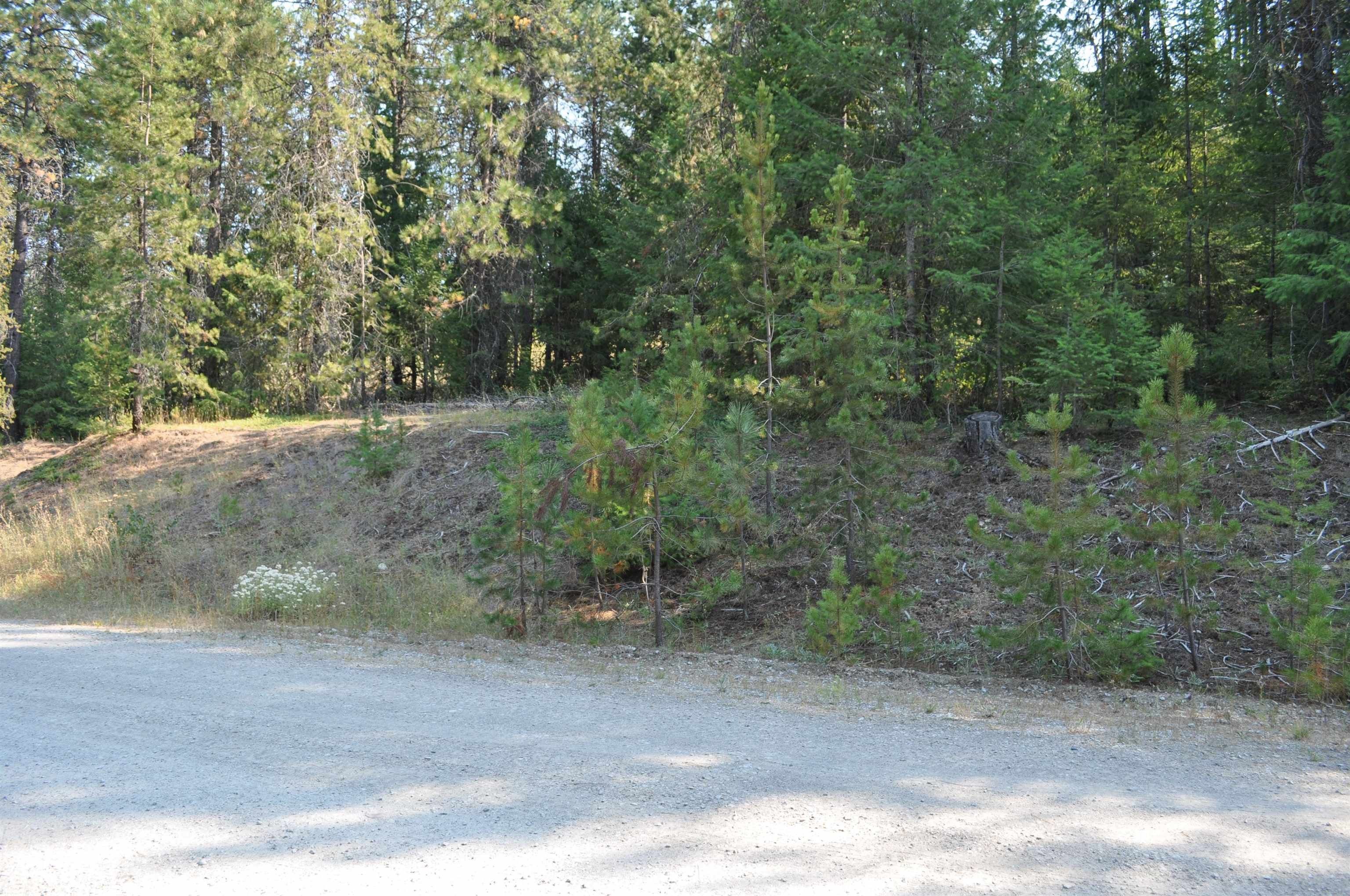 Newport, Pend Oreille County, WA Undeveloped Land, Lakefront Property