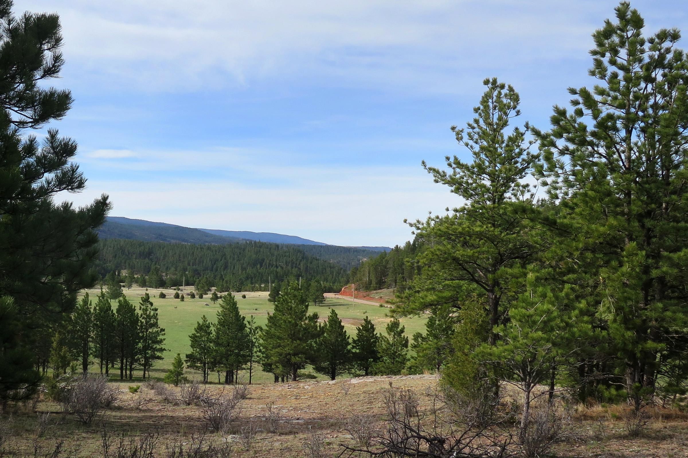 Newcastle, Weston County, WY Farms and Ranches, Recreational Property
