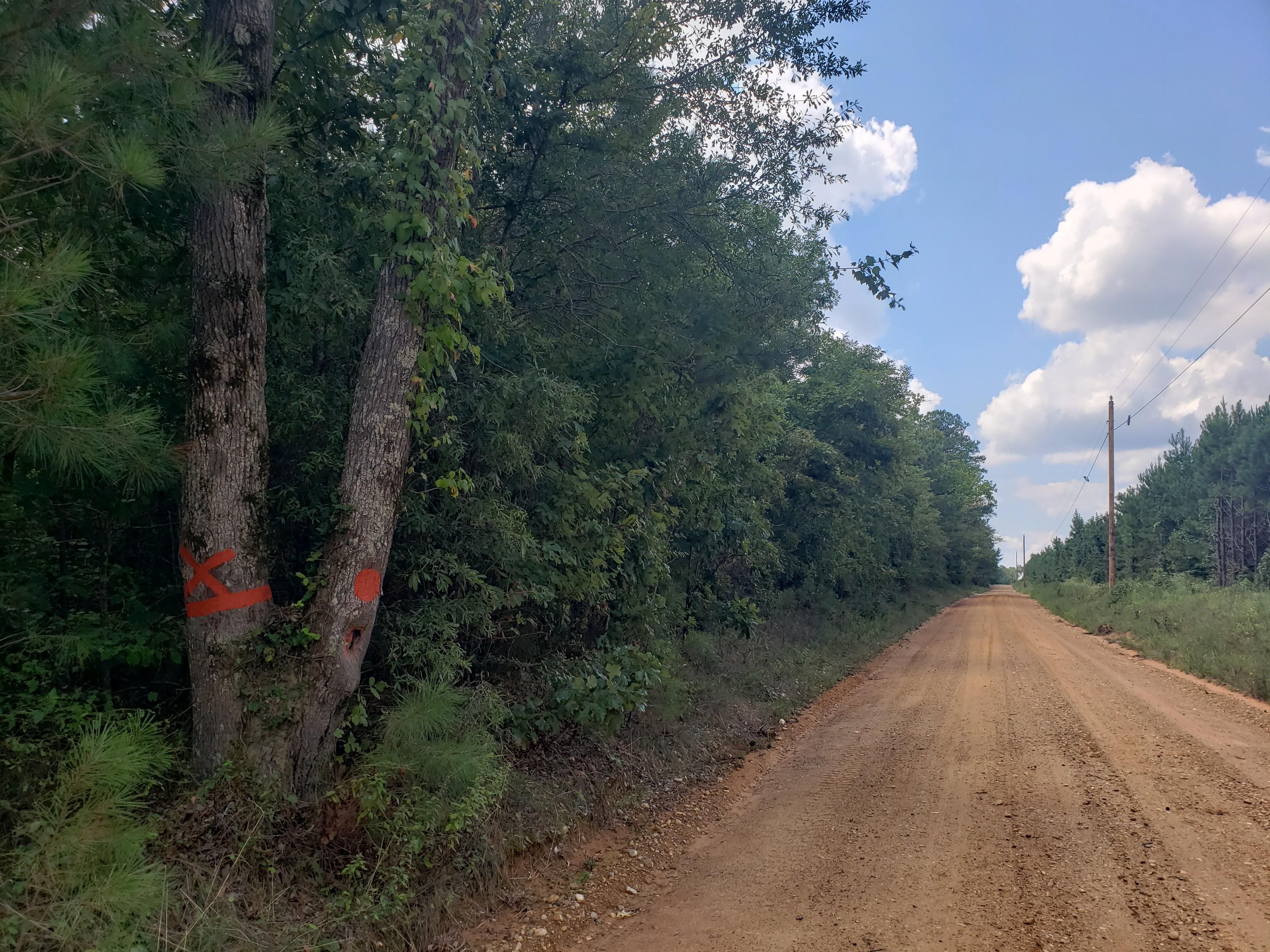 Falcon, Nevada County, AR Recreational Property, Timberland Property