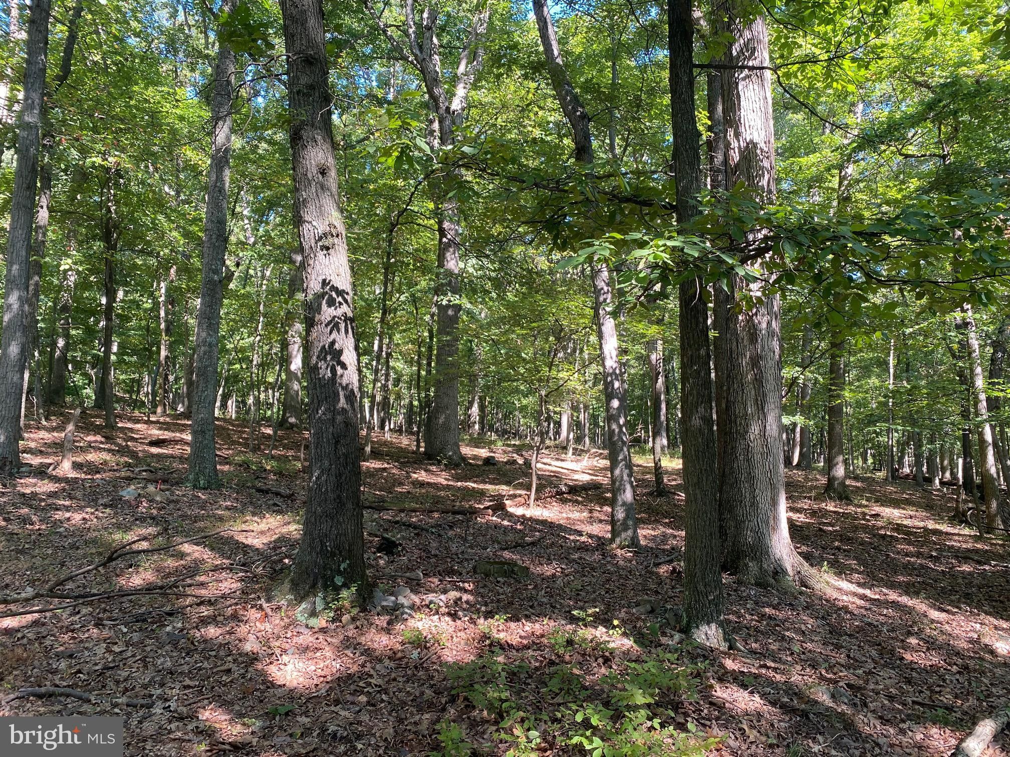 Slanesville, Hampshire County, WV Undeveloped Land for sale Property ID