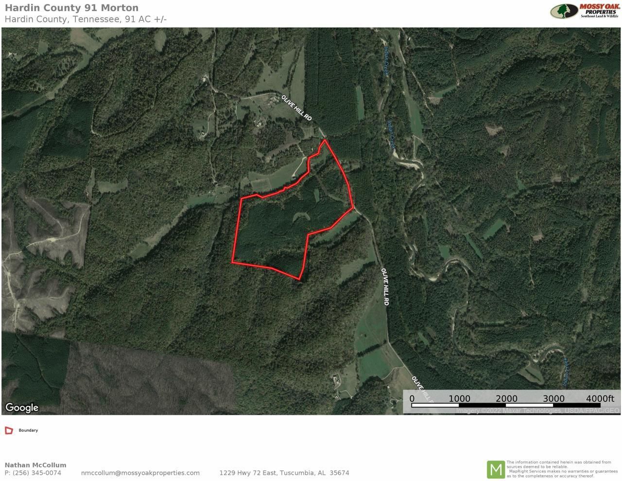 Olivehill, Hardin County, TN Recreational Property, Timberland Property