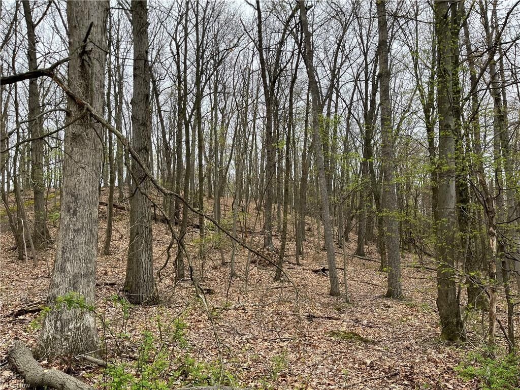 Brinkhaven, Holmes County, OH Farms and Ranches for sale Property ID