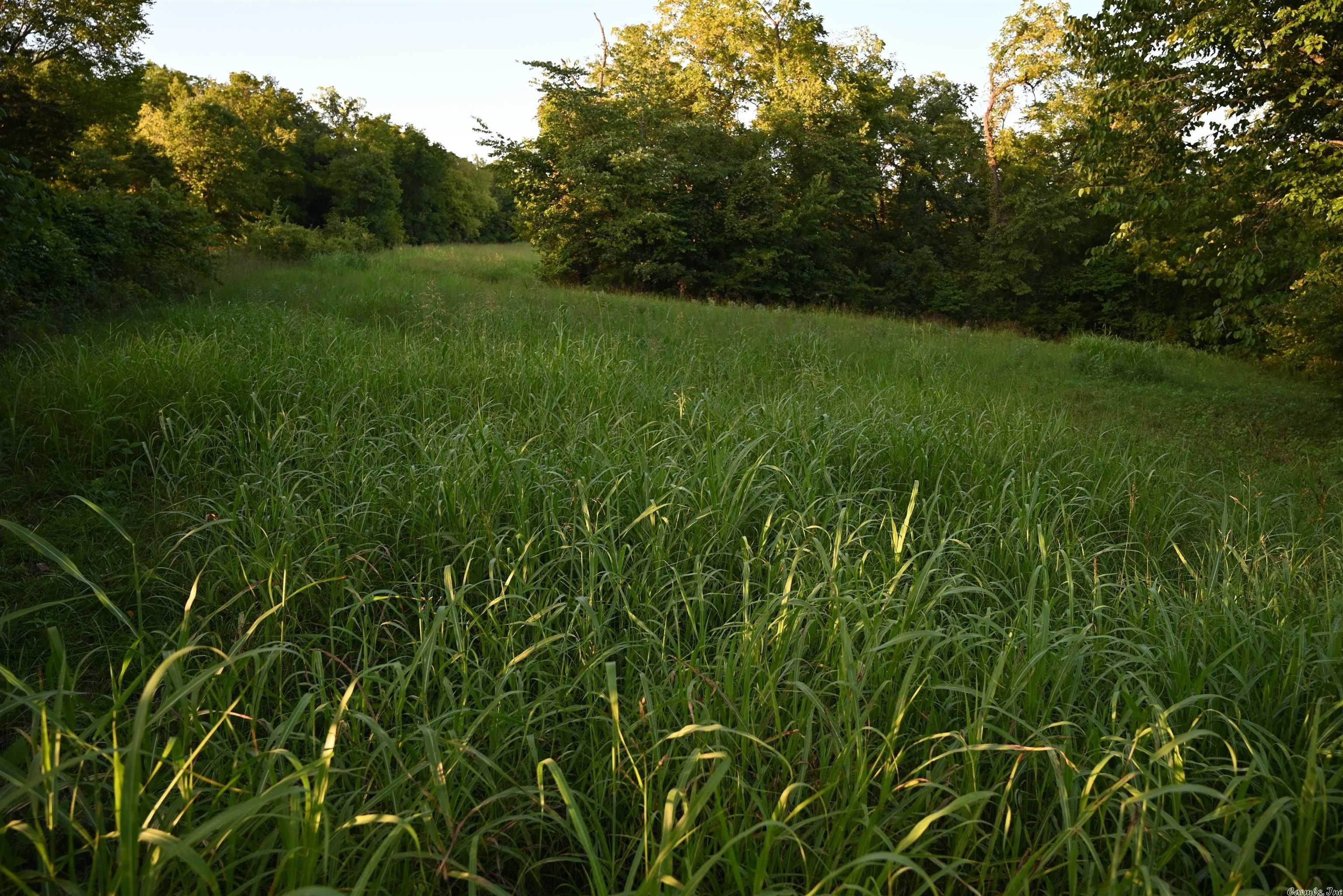 Saint Joe, Searcy County, AR Undeveloped Land for sale Property ID