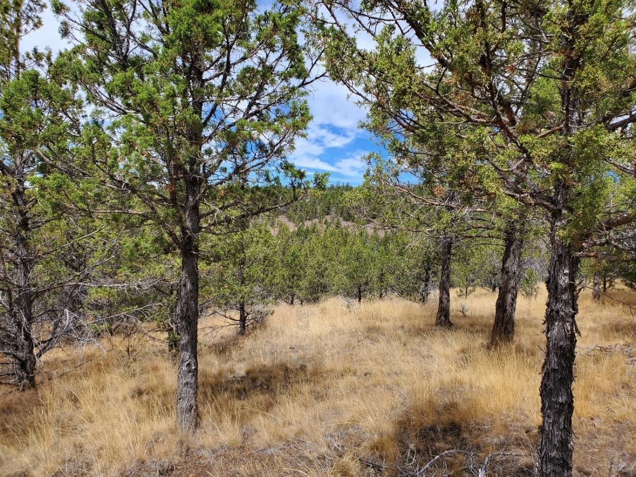 Prineville, Crook County, OR Undeveloped Land for sale Property ID
