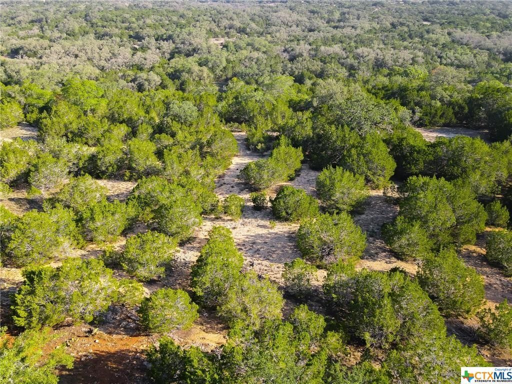 Bandera, Bandera County, TX Farms and Ranches, Commercial Property