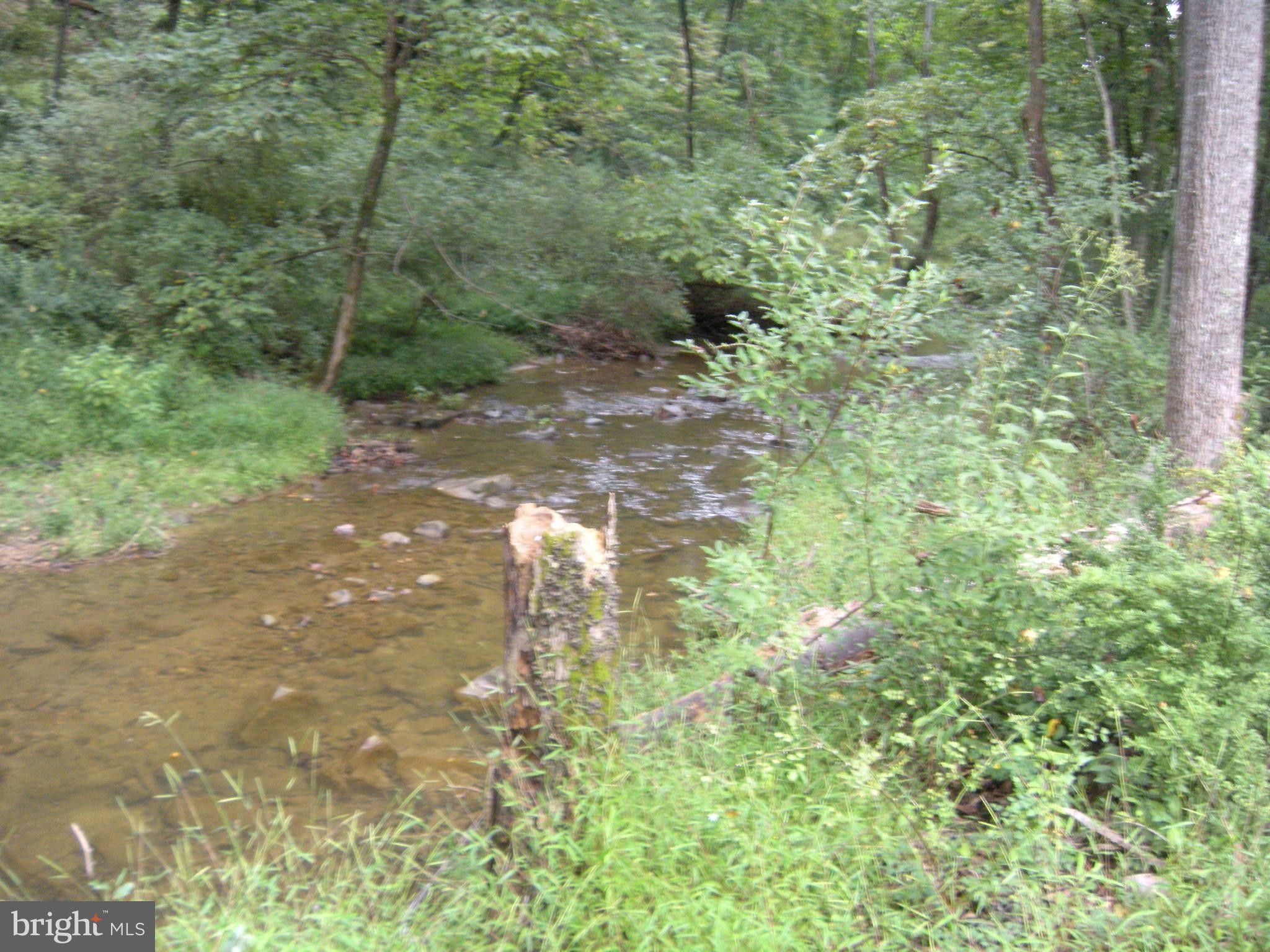 Capon Bridge, Hampshire County, WV Undeveloped Land, Lakefront Property