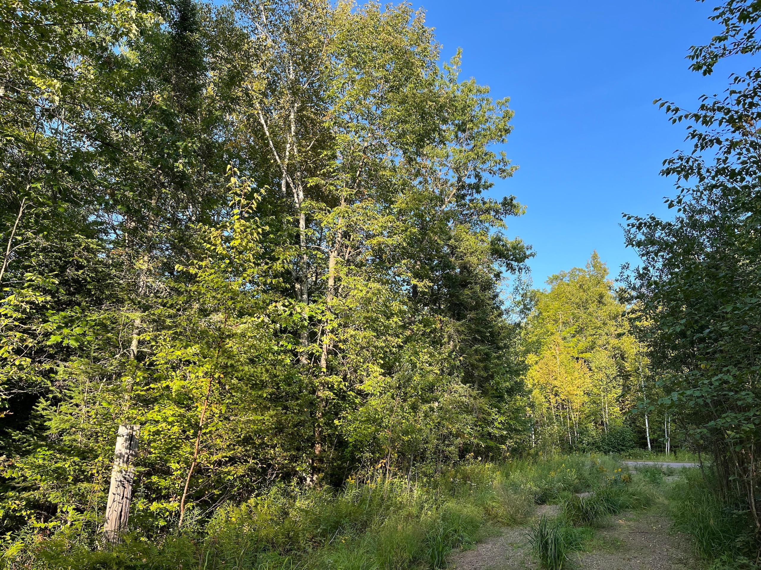 Winter, Sawyer County, WI Farms and Ranches, Hunting Property for sale
