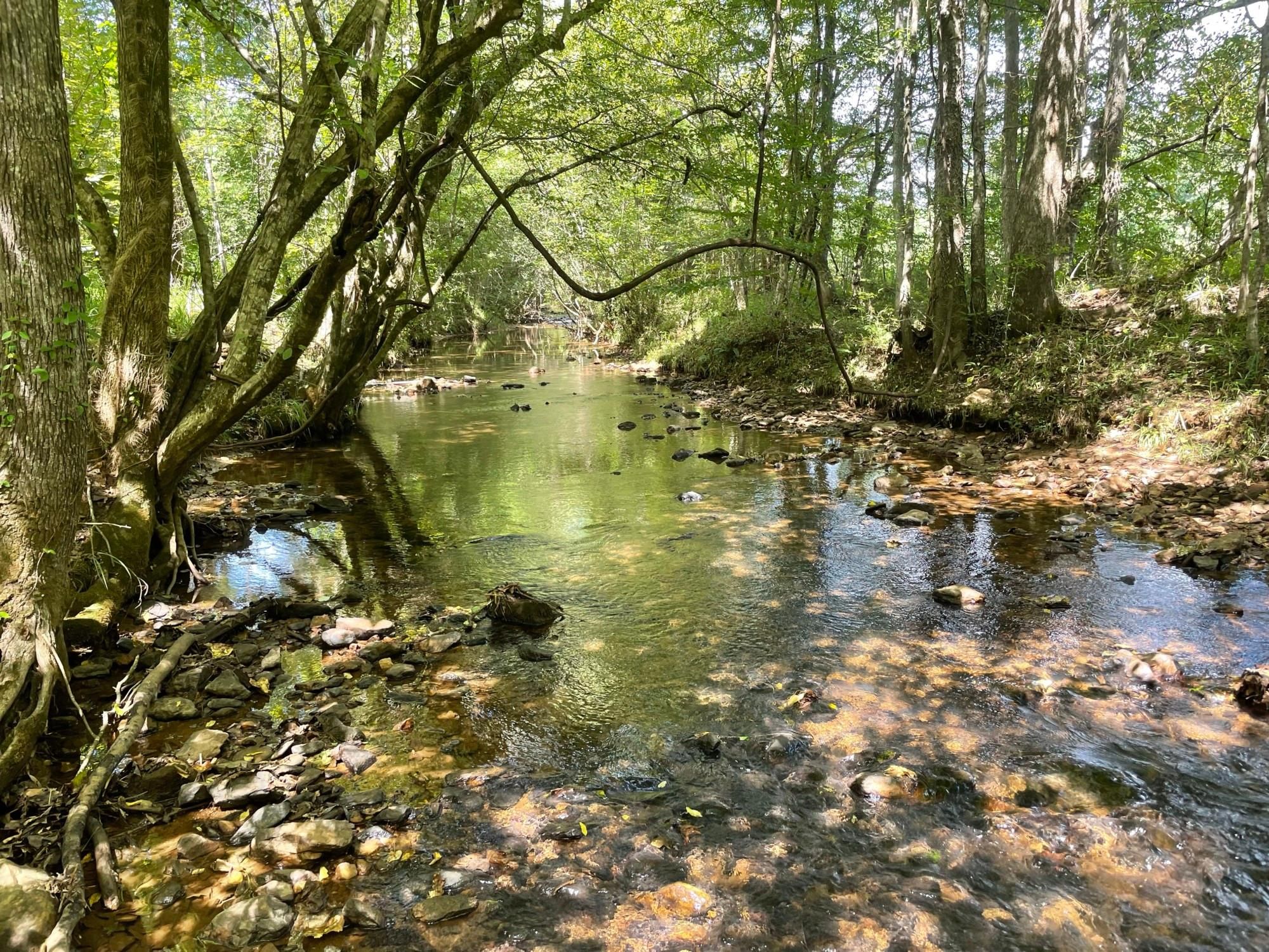 Rockford, Coosa County, AL Recreational Property, Hunting Property for