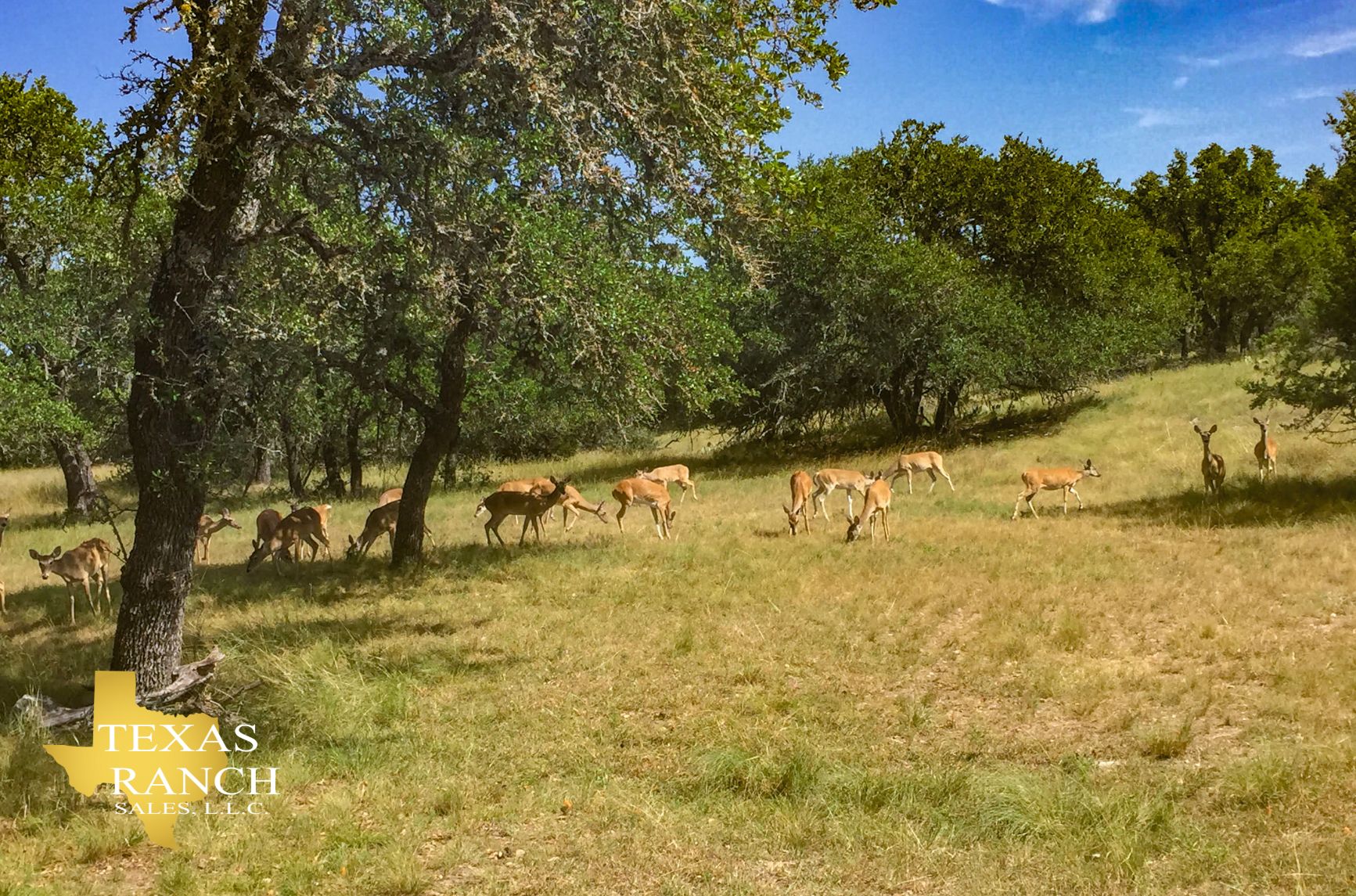 Harper, Gillespie County, TX Farms and Ranches, Recreational Property