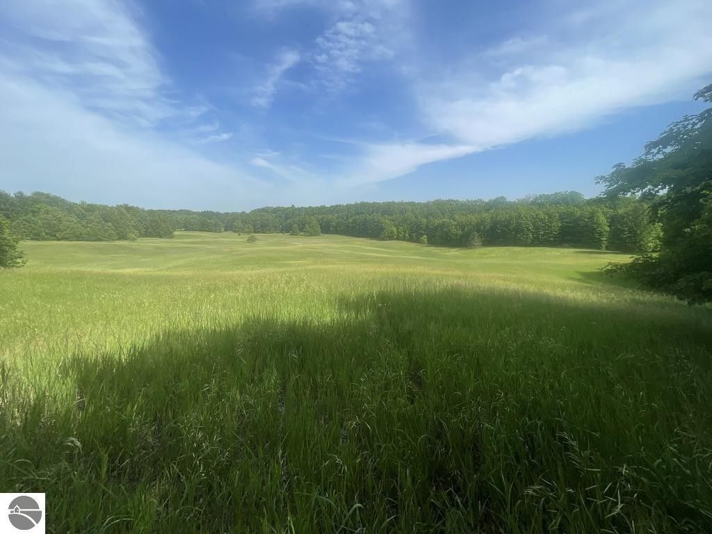 Leroy, Osceola County, MI Undeveloped Land, Lakefront Property