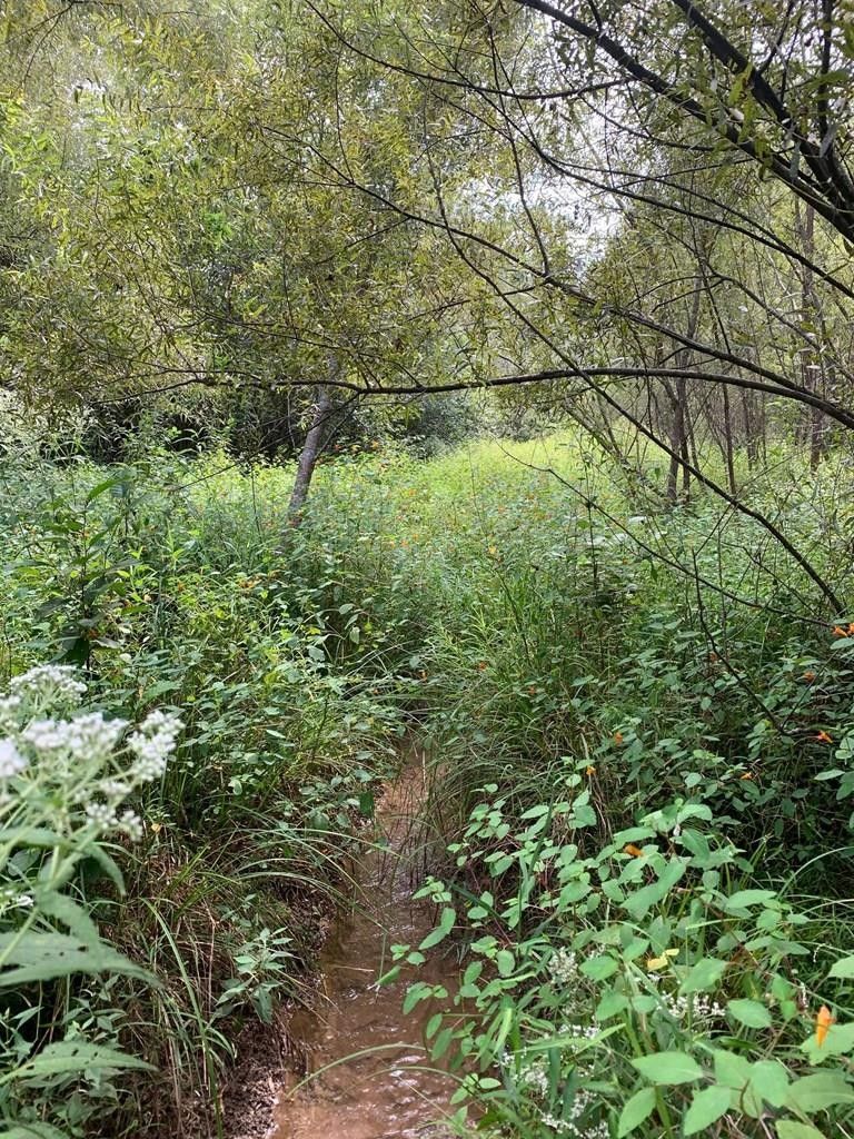 Enville, Chester County, TN for sale Property ID 414807912 LandWatch