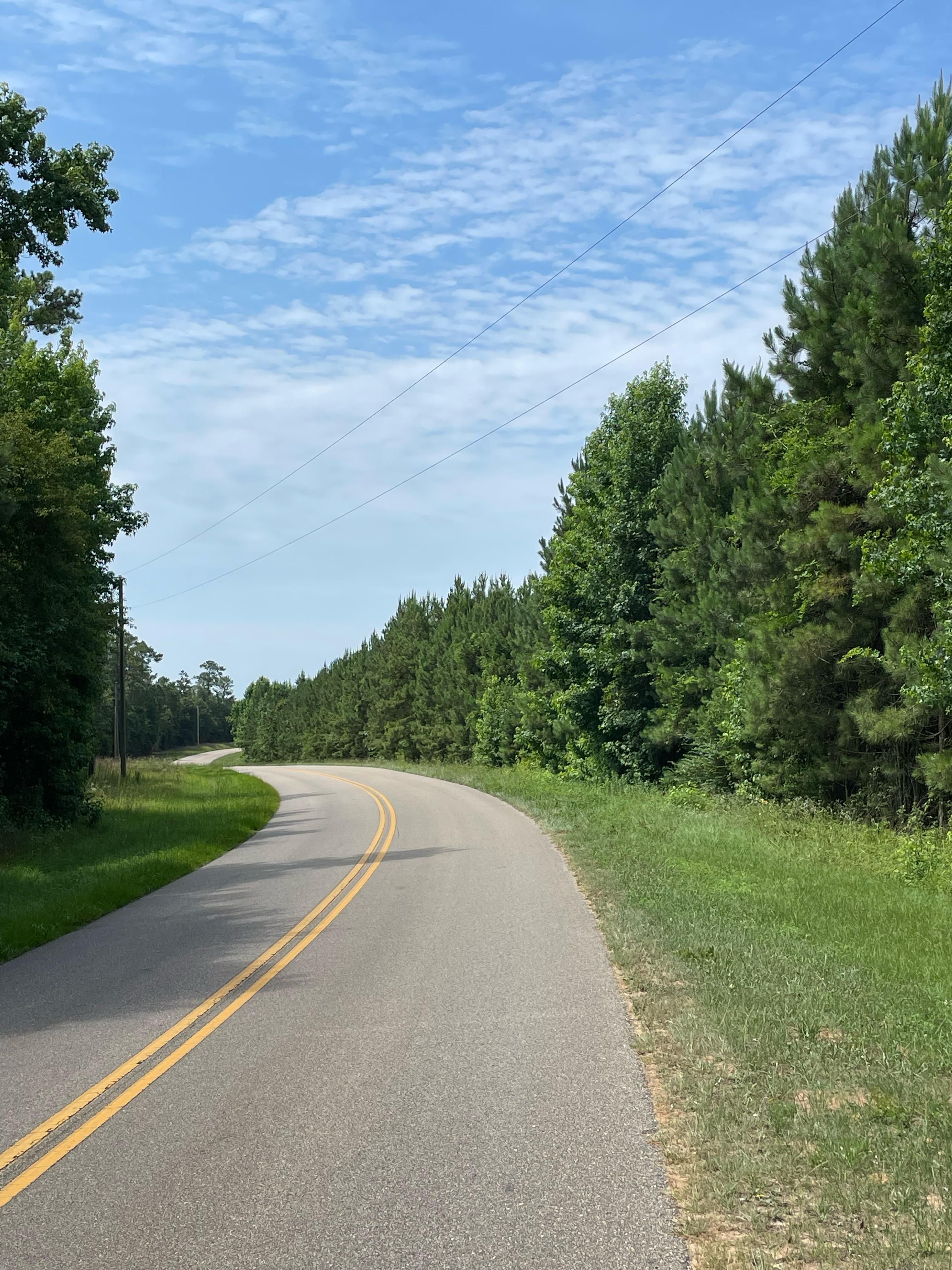 Repton, Conecuh County, AL Timberland Property for sale Property ID